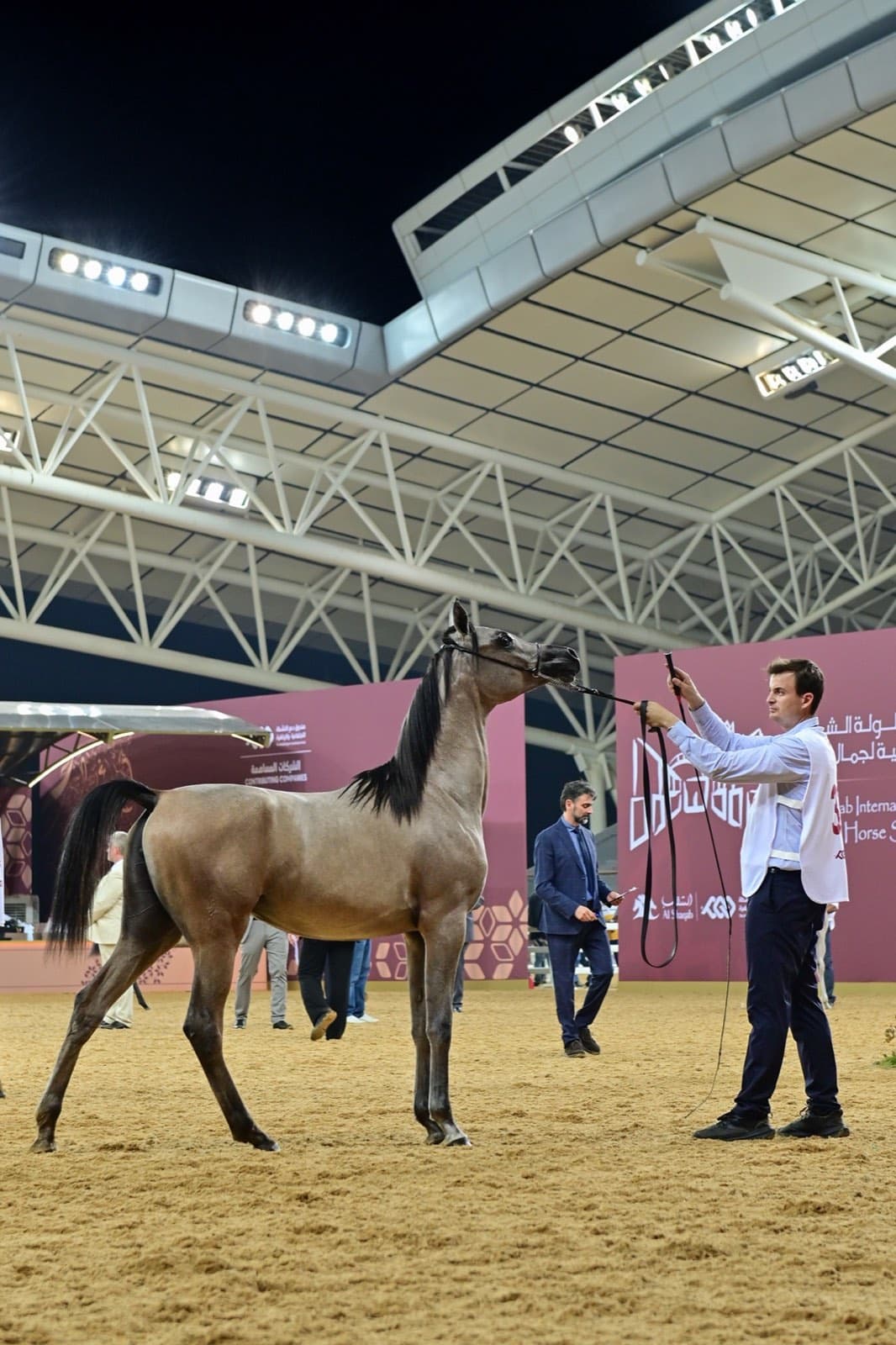 Horse Shows