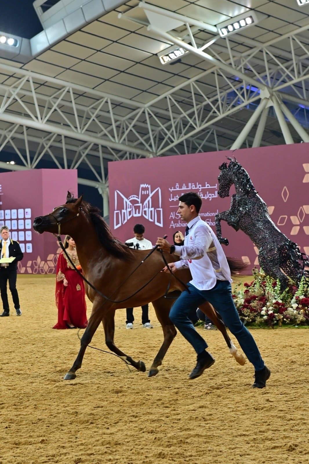 Horse Shows — image 4
